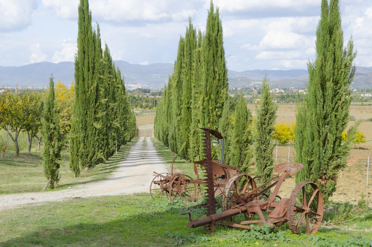 Alloggio per agriturismo Fattoria Le Giare Cortona